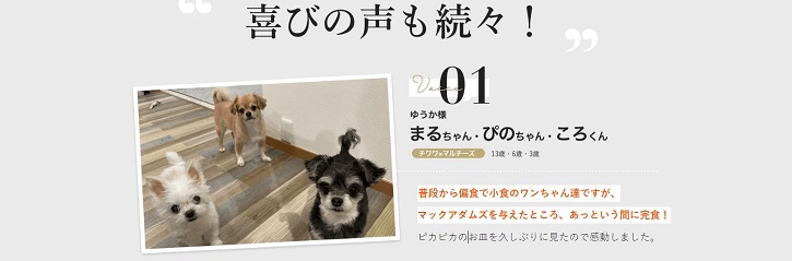 マックアダムズドッグフードチキンについて