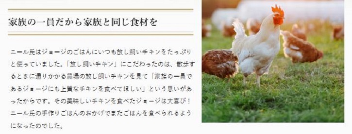 �}�b�N�A�_���Y�h�b�O�t�[�h�`�L���ɂ���