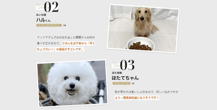 �}�b�N�A�_���Y�h�b�O�t�[�h�`�L���ɂ���