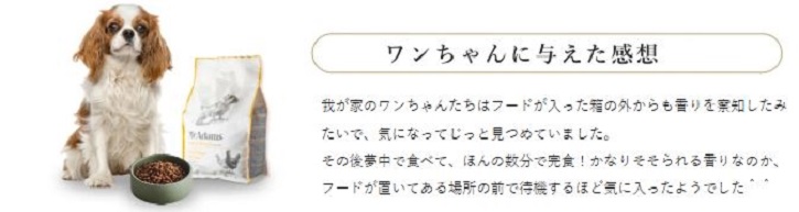 �}�b�N�A�_���Y�h�b�O�t�[�h�`�L���ɂ���