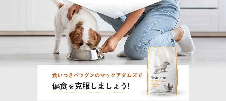 �}�b�N�A�_���Y�h�b�O�t�[�h�`�L���ɂ���