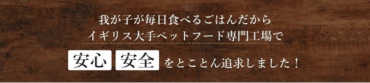 �}�b�N�A�_���Y�h�b�O�t�[�h�`�L���ɂ���